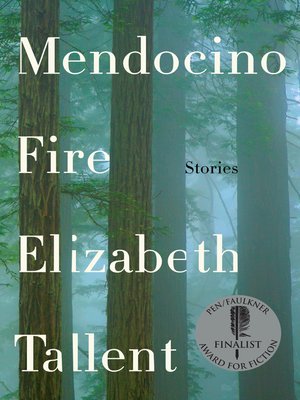 cover image of Mendocino Fire